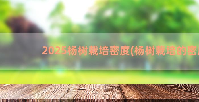 2025杨树栽培密度(杨树栽培的密度)