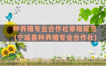 种养殖专业合作社章程规范(宁城县种养殖专业合作社)